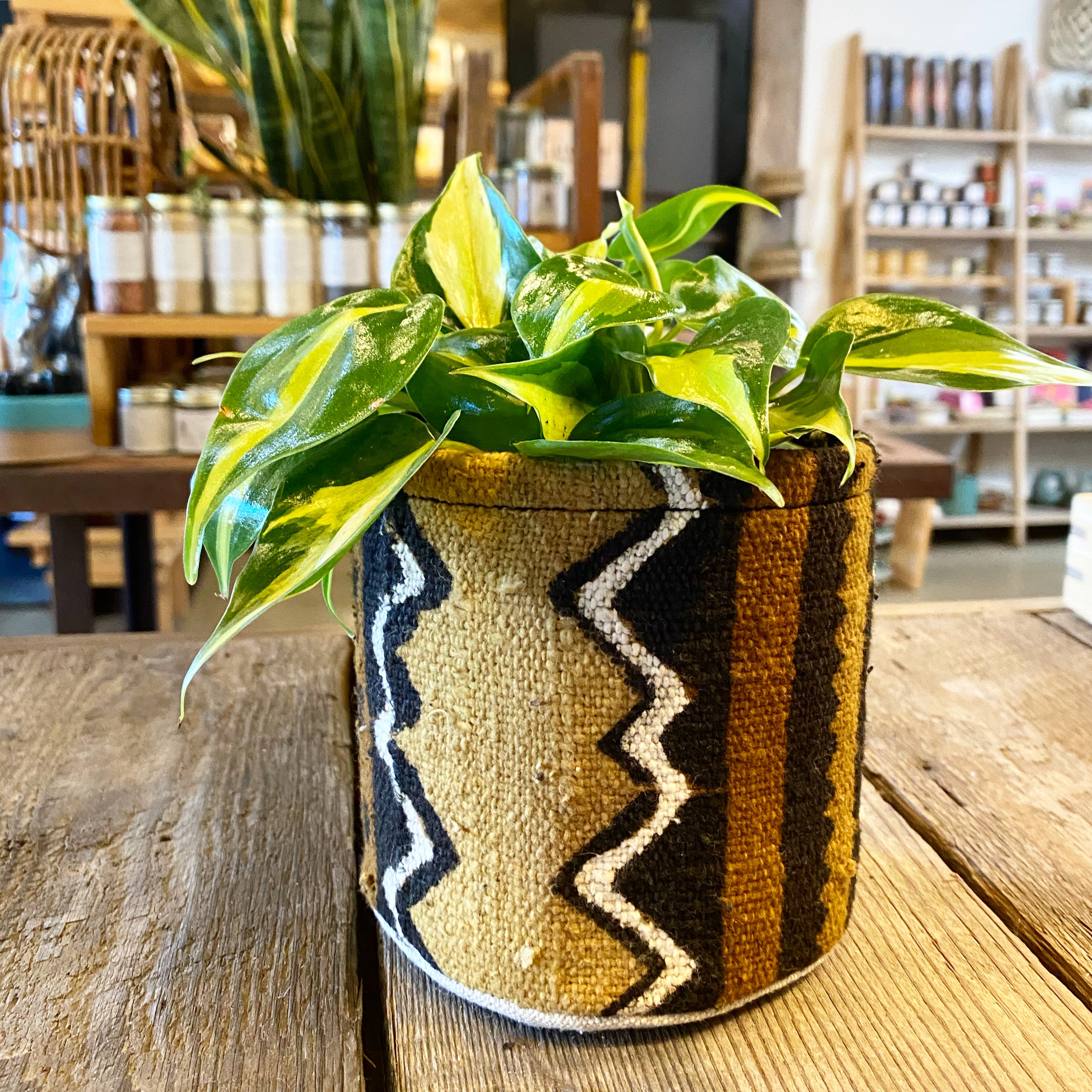 cloth plant pot covers Plant Pouch, Mud Cloth in Earth Ride – Pour Vida Art & Plant House