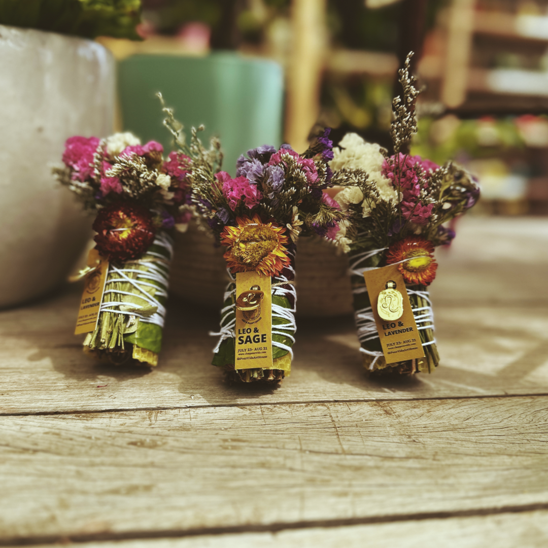 Pour Vida Art and Plant House