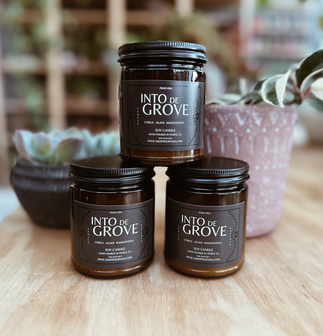 Pour Vida Art and Plant House