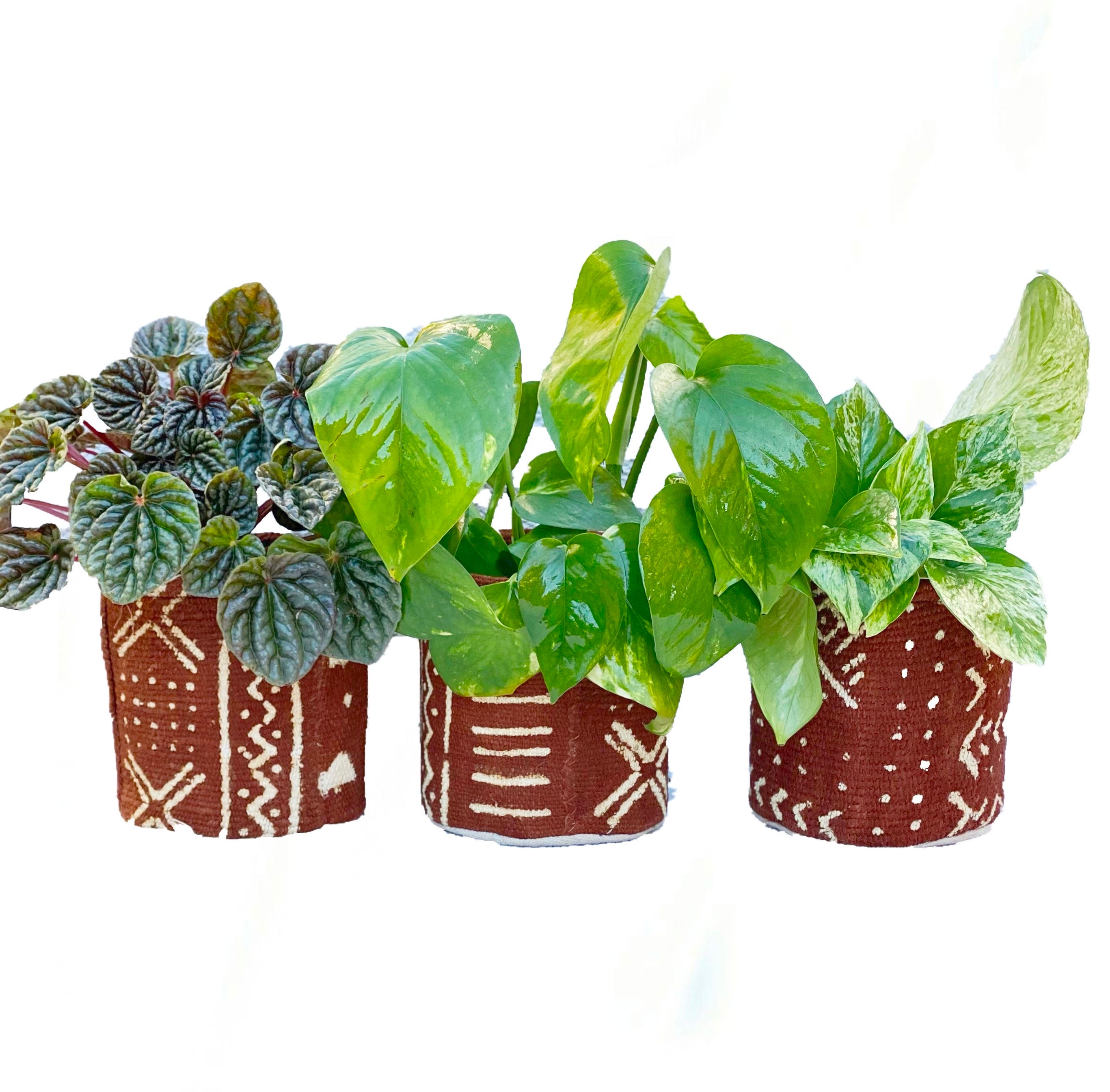 Plant Pouch, Mud Cloth in Sepia